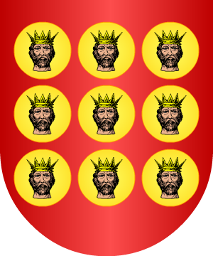 ESCUDO SIGUIENTE