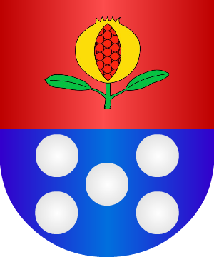ESCUDO ALEATORIO