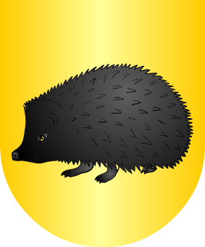 ESCUDO ALEATORIO
