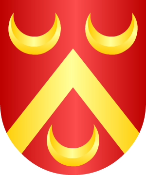 ESCUDO SIGUIENTE