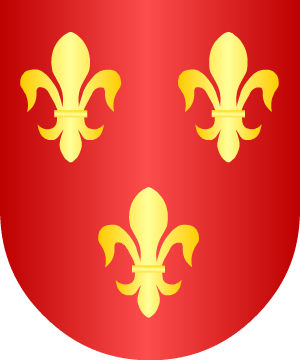 ESCUDO SIGUIENTE
