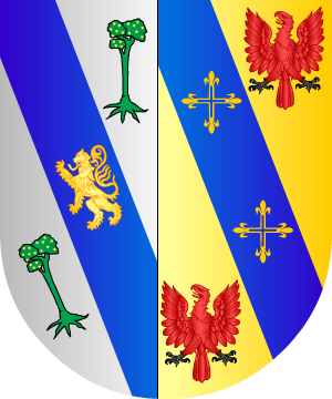 ESCUDO SIGUIENTE