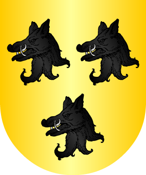 ESCUDO ALEATORIO