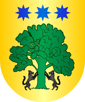 ESCUDO SIGUIENTE