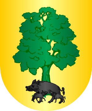 ESCUDO SIGUIENTE