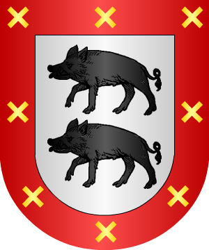 ESCUDO SIGUIENTE