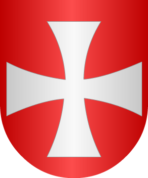 ESCUDO PRECEDENTE