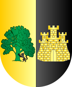 ESCUDO SIGUIENTE