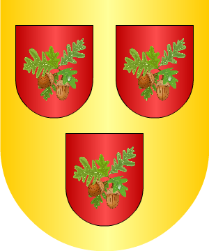 ESCUDO SIGUIENTE