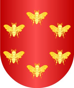 ESCUDO SIGUIENTE