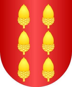 ESCUDO ALEATORIO
