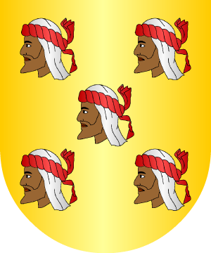 ESCUDO ALEATORIO