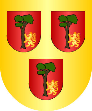 ESCUDO ALEATORIO