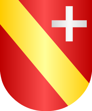 ESCUDO SIGUIENTE