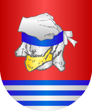 ESCUDO ALEATORIO