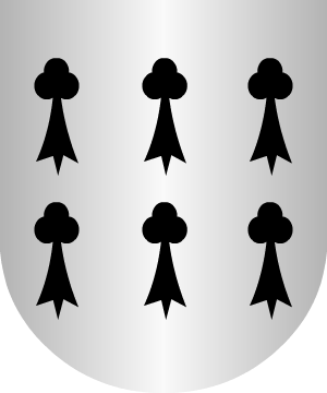 ESCUDO ALEATORIO