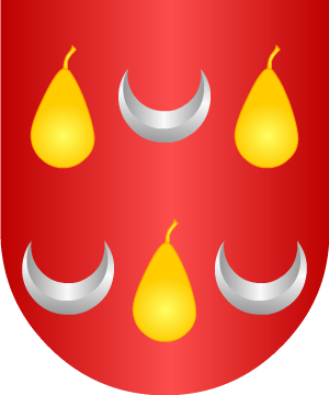 ESCUDO ALEATORIO
