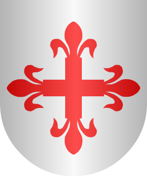 ESCUDO ALEATORIO