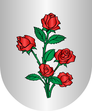 ESCUDO ALEATORIO