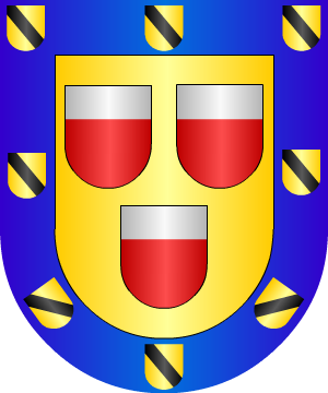 ESCUDO SIGUIENTE