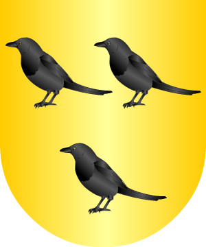 ESCUDO ALEATORIO