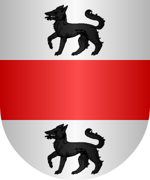 ESCUDO ALEATORIO