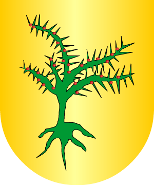 ESCUDO ALEATORIO