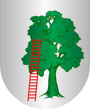 ESCUDO ALEATORIO