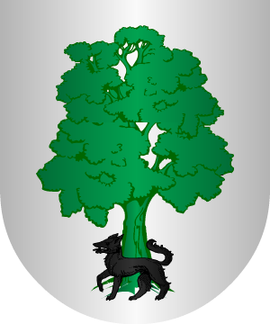 ESCUDO SIGUIENTE
