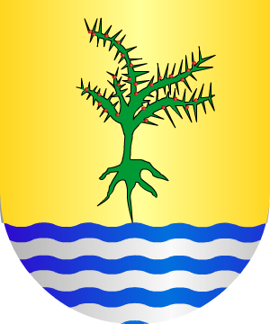 ESCUDO ALEATORIO