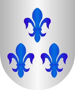 ESCUDO ALEATORIO