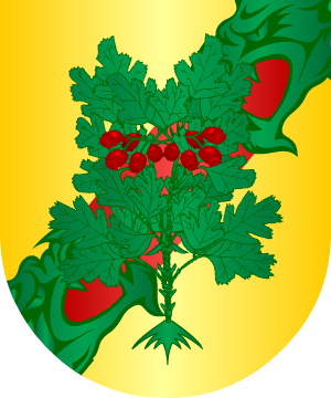 ESCUDO PRECEDENTE