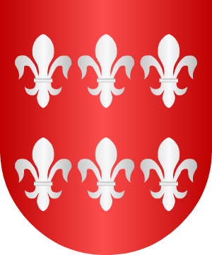 ESCUDO ALEATORIO