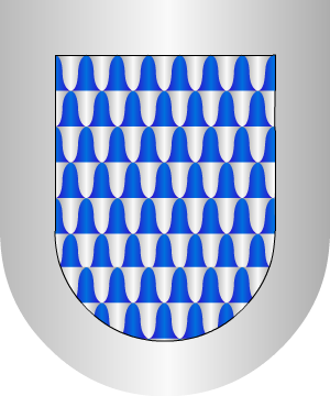 ESCUDO SIGUIENTE
