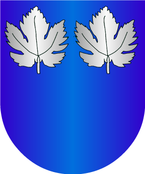 ESCUDO SIGUIENTE