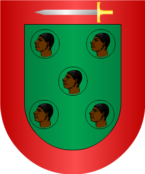 ESCUDO ALEATORIO