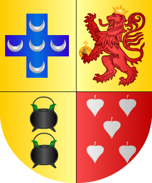 ESCUDO ALEATORIO