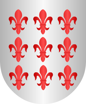 ESCUDO ALEATORIO