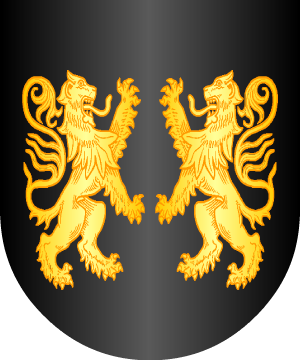 ESCUDO SIGUIENTE