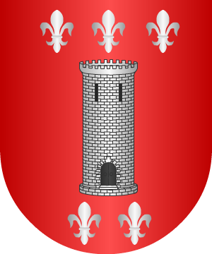 ESCUDO SIGUIENTE