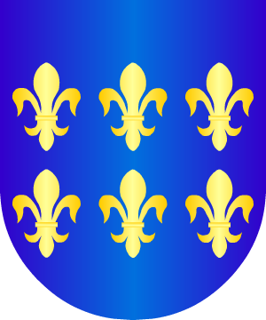ESCUDO ALEATORIO