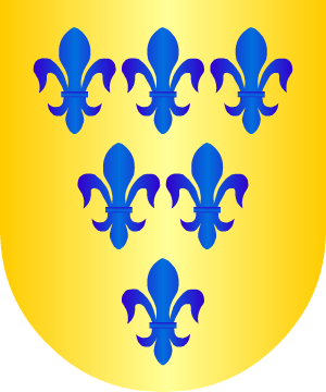 ESCUDO ALEATORIO