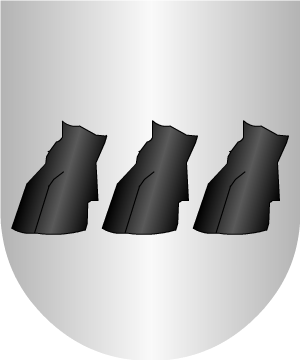 ESCUDO PRECEDENTE