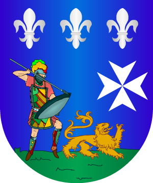 ESCUDO ALEATORIO