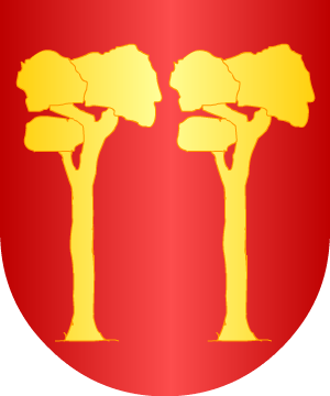 ESCUDO SIGUIENTE