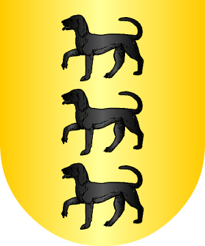 ESCUDO ALEATORIO