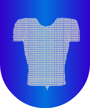 ESCUDO PRECEDENTE
