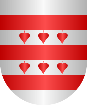 ESCUDO SIGUIENTE