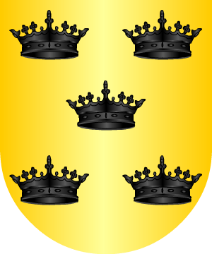 ESCUDO SIGUIENTE