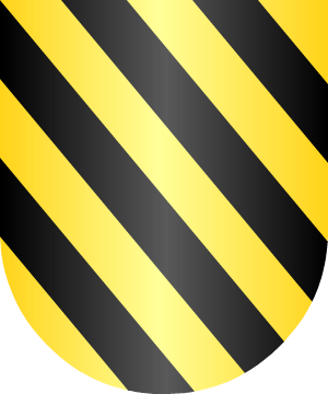 ESCUDO SIGUIENTE